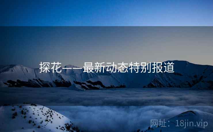 探花——最新动态特别报道