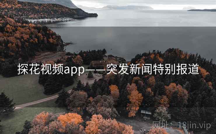 探花视频app——突发新闻特别报道