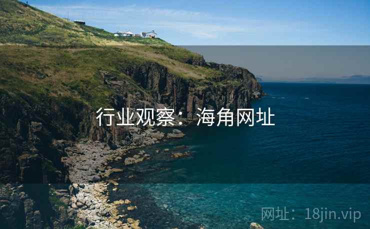 行业观察：海角网址
