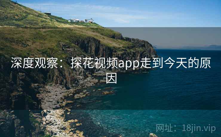 深度观察：探花视频app走到今天的原因