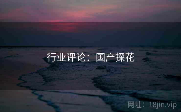 行业评论:国产探花 行业评论:国产探花