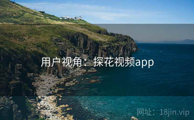 用户视角：探花视频app