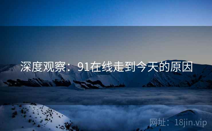深度观察：91在线走到今天的原因