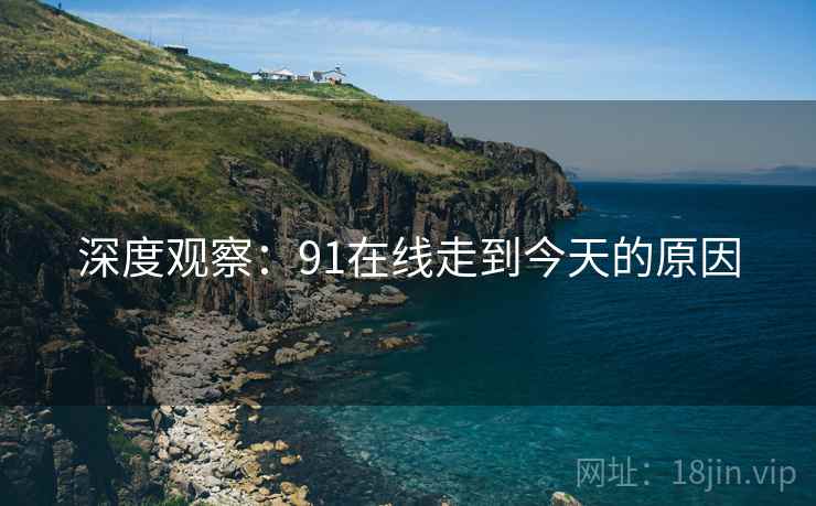 深度观察:91在线走到今天的原因 深度观察:91在线走到今天的原因